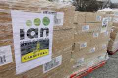 3b8e0504-e77e-4953-a496-ba6b06a71f64