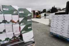 5c206b64-4931-4a46-957a-b5320302f74a