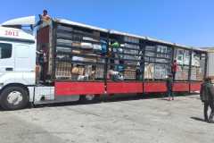 0038532e-8def-4b0b-a677-f2647c42953b