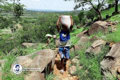 38ed8205-d591-4943-96ab-9b212194c22d