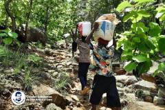 a4951d50-8212-4ef7-81b5-189b04e87342