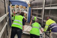 IMG_20250410_094359-Grande