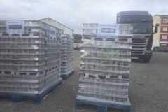 ca482147-5e29-40aa-a50e-f96c65002c03