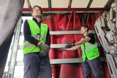 IMG_20251104_093348-Grande