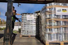 IMG_20251104_102541-Grande