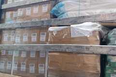 Imagen-de-WhatsApp-2023-10-27-a-las-23.16.51_80984e1d