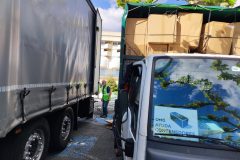 IMG_20250520_174653-Grande