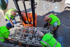 IMG_20250520_174942-Grande