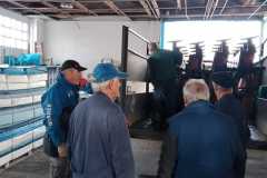 Imagen-de-WhatsApp-2023-11-28-a-las-11.28.25_1e616fec