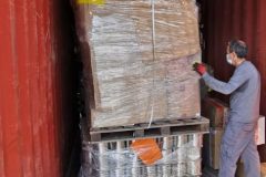 183886485_4018194004906617_1684478436858650398_n-474x1024