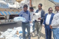 17fc510b-1b2b-4b94-9a9f-1d2f835ede62-Mediana