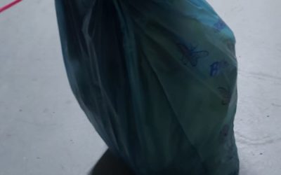 DONACIÓN ÓPTICA EGÜES