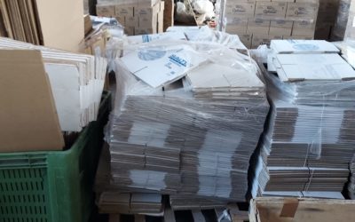 DONACIÓN CAJAS DE AMAYA SPORT