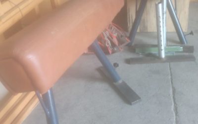 Donación del Colegio Zazuar de Madrid  (9-9-2022)