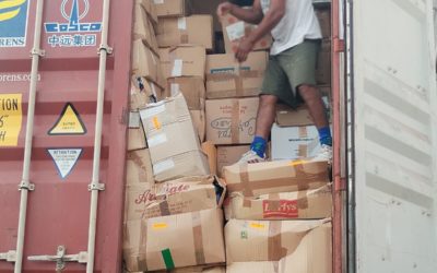 LLEGADA DE CONTENEDOR A LIMA, PERÚ (ONG UPASUNQU) (02-04-2024)