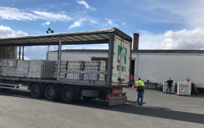 DONACIÓN DE CONSERVAS DEL GRUPO IAN (LA CARRETILLA) (12-06-2024)