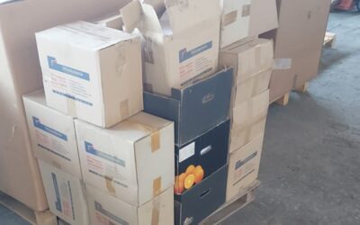 DONACIÓN DEL PALACIO MIRAMAR DE DONOSTIA (16-09-2024)