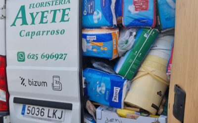 ENVÍO DE MATERIALES PARA AYUDA EN ALFAFAR (VALENCIA)  (06-11-2024)