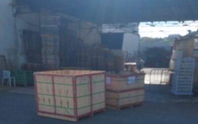 DONACIÓN DE AMAYA SPORT (12-11-2024)