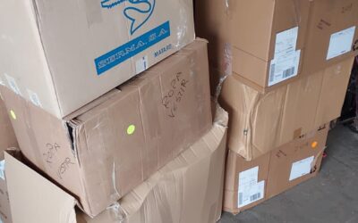 DONACIÓN DE YALA NAFARROA POR PALESTINA  (19-11-2024)