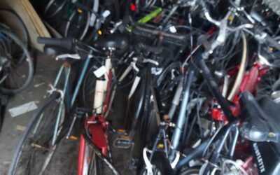 DONACIÓN DEL AYUNTAMIENTO DE SAN SEBASTIÁN (10-02- 2025)