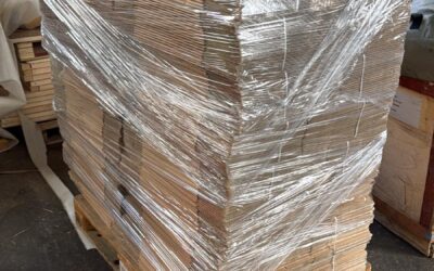 DONACIÓN DE SOLIDUS SOLUTIONS VIDECART S.A. (08-02 -2025)