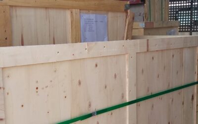 DONACIÓN DE AMAYA SPORT (26-05-2025)