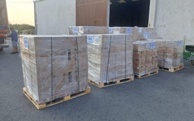 DONACIÓN DE JABONES GRISI (07-08-2025)