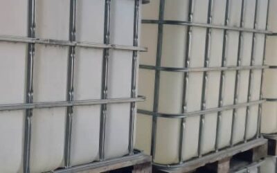 LLEGADA DE CONTENEDOR A GAMBIA (20-11-2025)