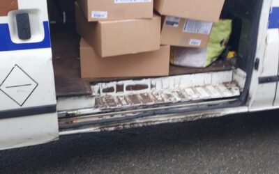 DONACIÓN DEL OSASUNBIDEA DE NOÁIN (02-11-2025)